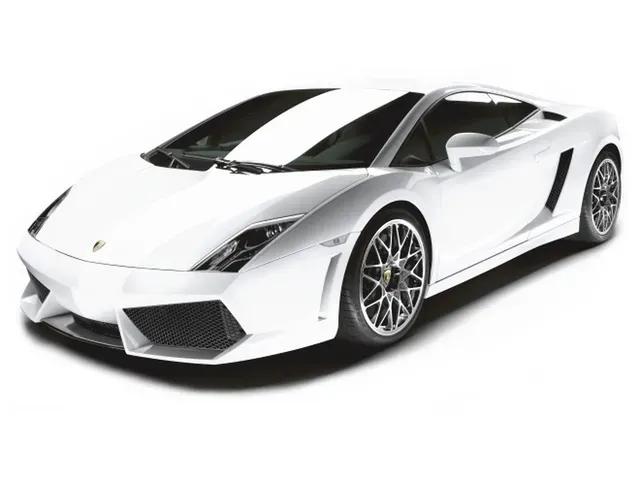 ガヤルドカタログ画像