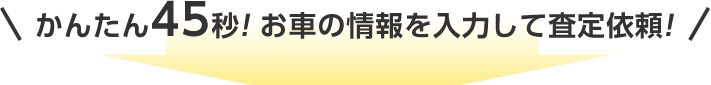 かんたん45秒!お車の情報を入力して査定依頼!